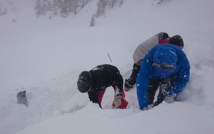 Apprendre à chercher et à creuser, des compétences hivernales essentielles.